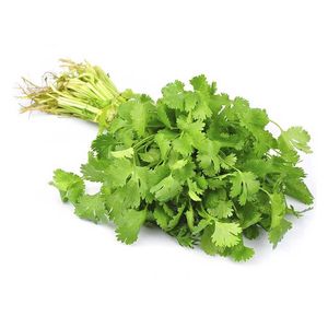 Cilantro x 1 und