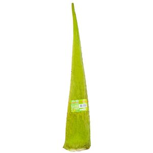 Hoja de Sábila Aloe Tory x 1 und