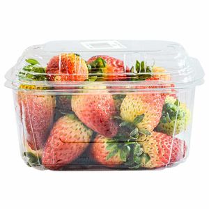 Fresa Domo x 250 g