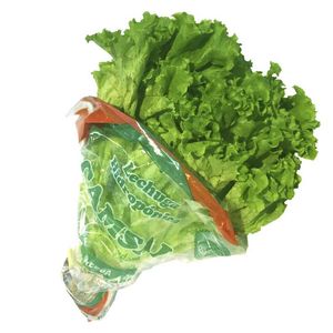Lechuga Verde Crespa Camsal Bolsa x 200 g
