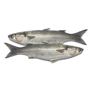 Pescado Lebranche x 500 g