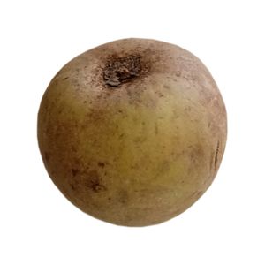 Níspero Selecto x 500 g