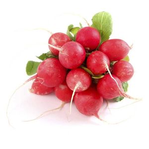 Rábano Rojo Selecto x 500 g