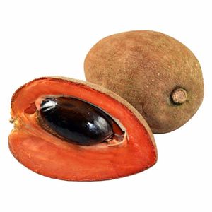 Zapote Costeño Selecto x 500 g