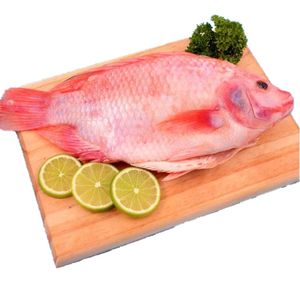 Mojarra Roja x 500 g