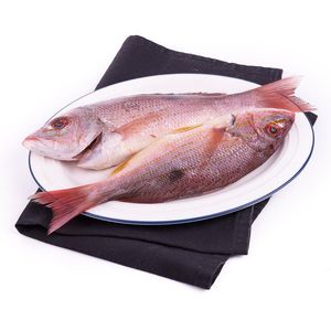 Pargo Platero Fresco x 500 g