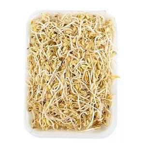 Raiz China Bandeja Tipo 2 x 150 g