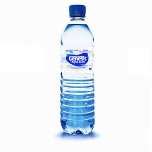 Agua Génesis x 300 ml