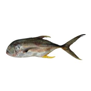 Jurel Criollo Entero x 500 g