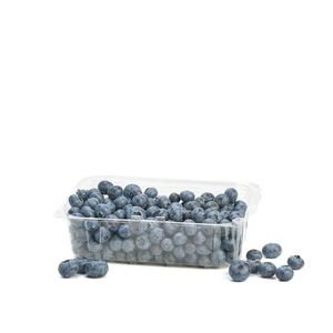 Arándanos Domo x 500 g