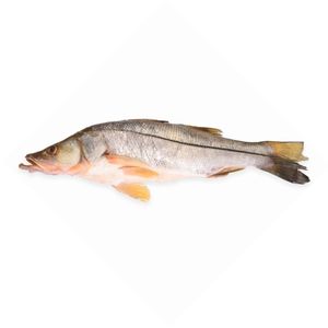 Róbalo Platero Fresco x 500 g