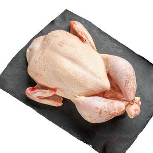 Pollo Coco x 500 g
